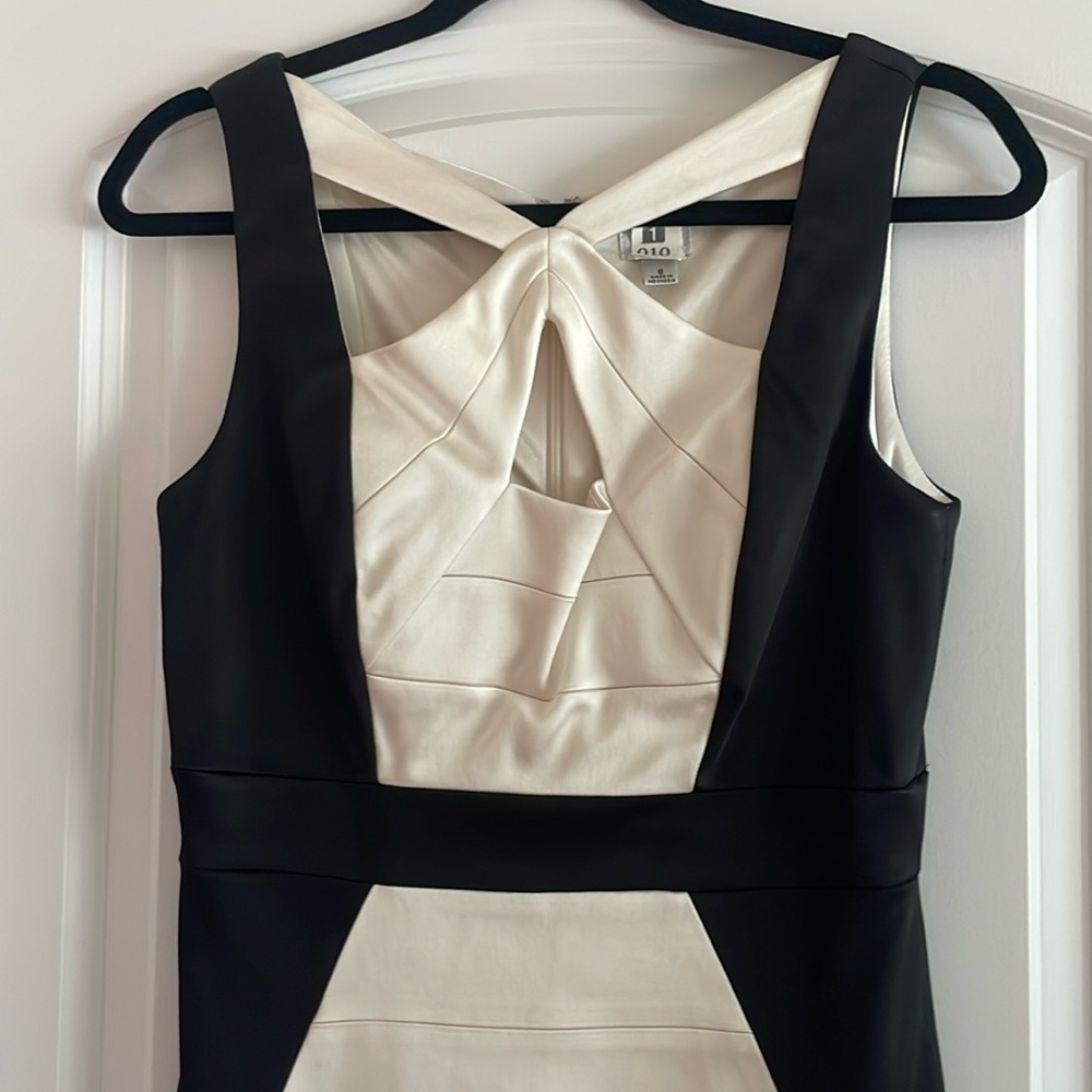 Beautiful Cache Dress, worn once and dry cleaned, silhouette detail! Beautiful